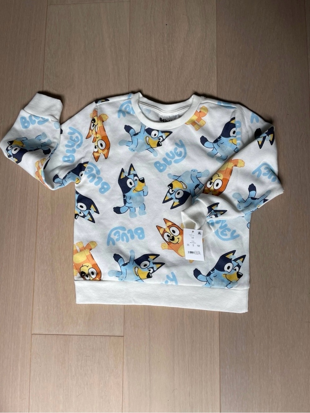Kids Bluey and Bingo Sweatshirt | 5T
